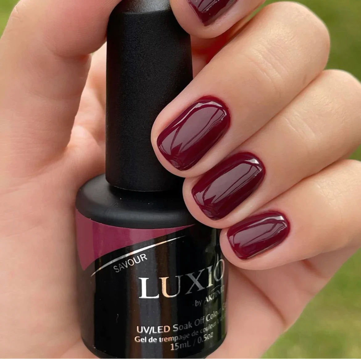 Luxio - Savour