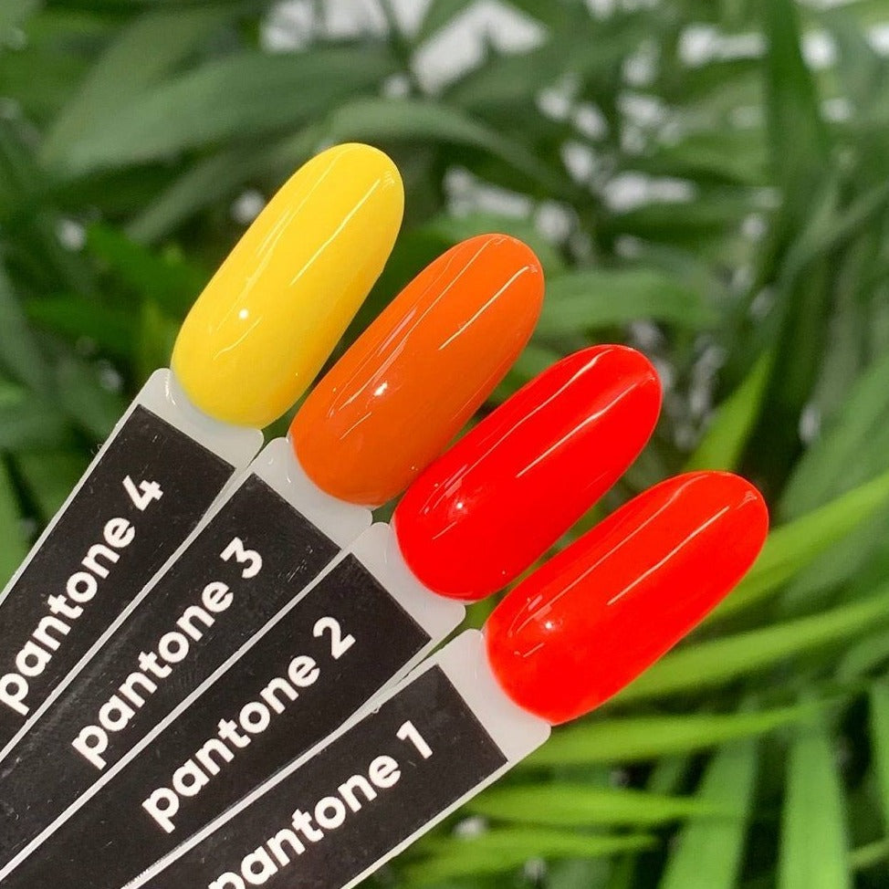 PANTONE#3 11ml- HOLY MOLLY™