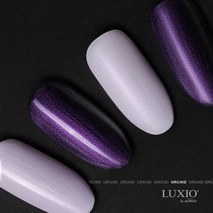 Luxio - Luminous Orchid