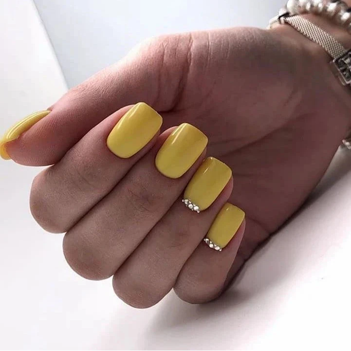 Luxio - Playful