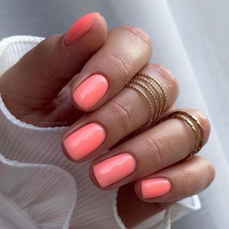 HOLY MOLLY Base Color #3, 15ml