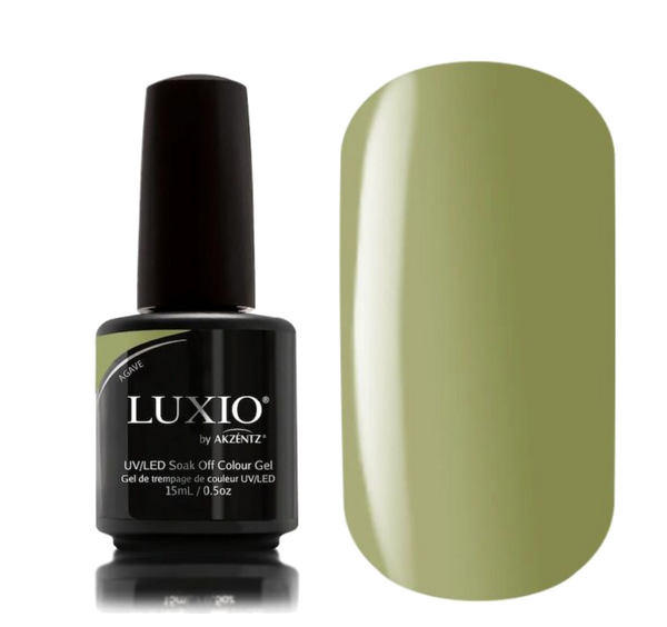 LUXIO AGAVE-AKZENTZ