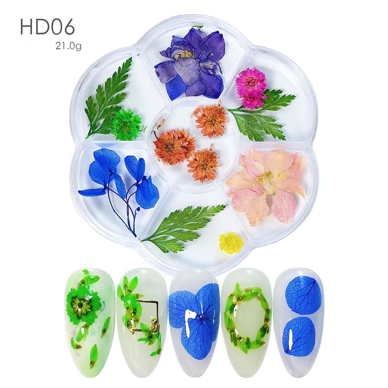 DIY Natural Real 3D Dried Flower