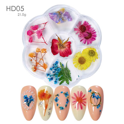 DIY Natural Real 3D Dried Flower