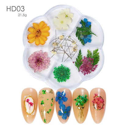 DIY Natural Real 3D Dried Flower