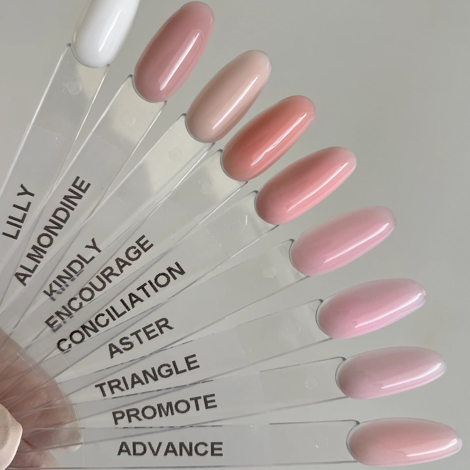 American Creator - Framework Gel Aster (Pink), 30ml