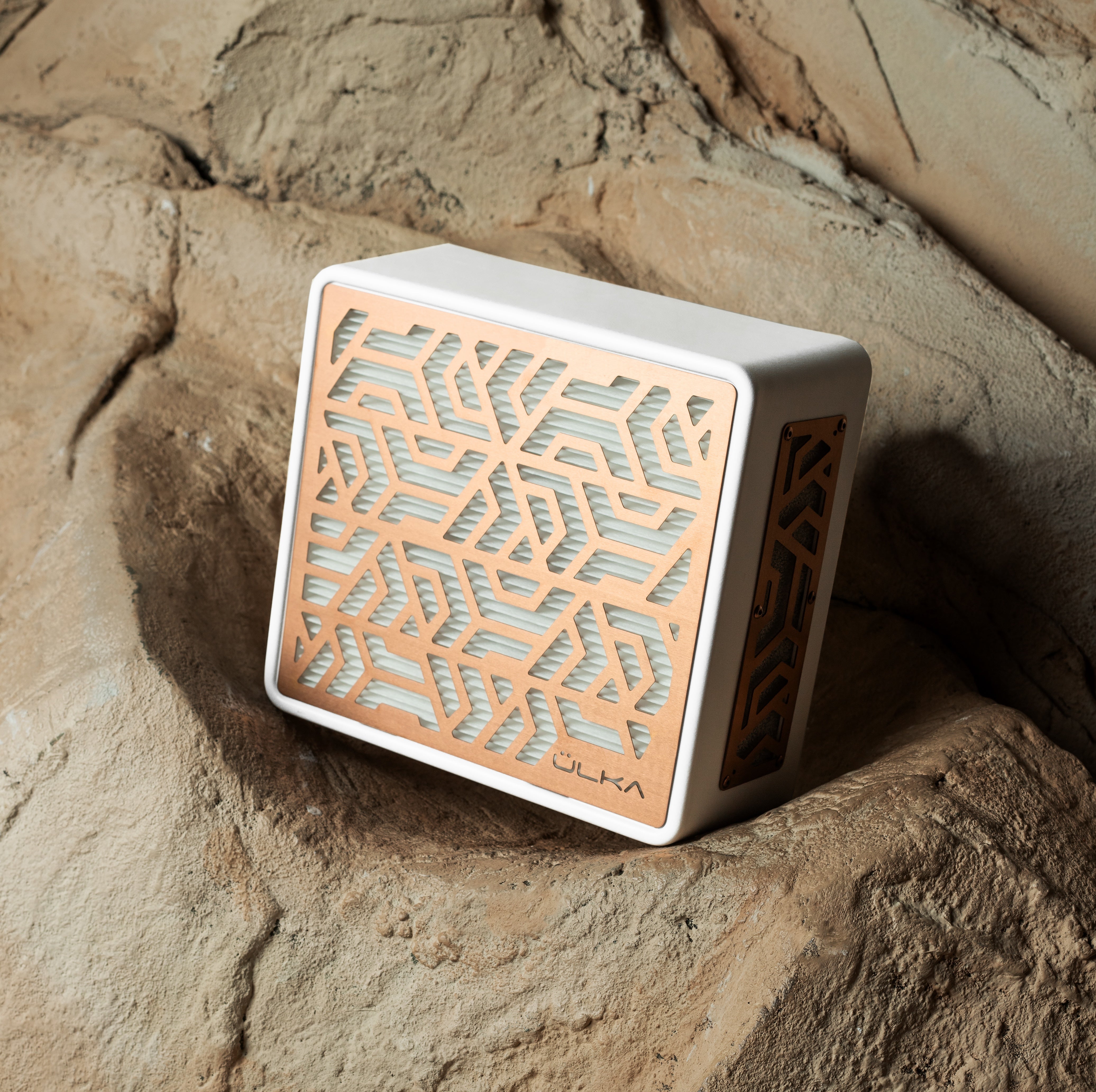 ULKA Premium Pink Gold Desktop Nail Dust Collector