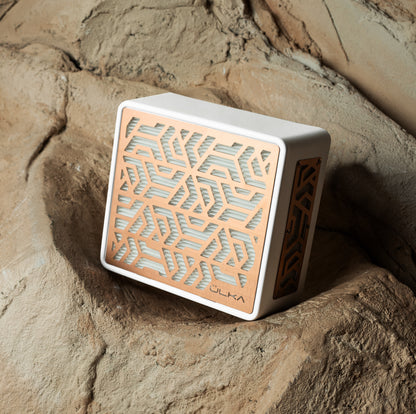 ULKA Premium Pink Gold Desktop Nail Dust Collector