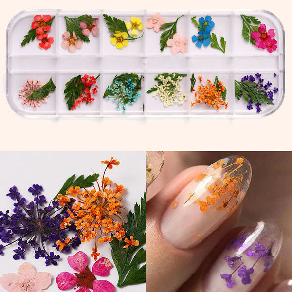 MIX DRIED FLOWERS FOR NAIL ART DESIGN #2